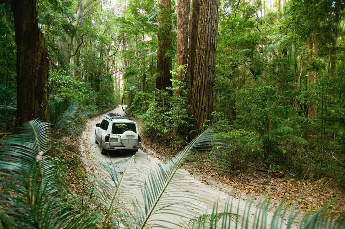 fraser island offroad