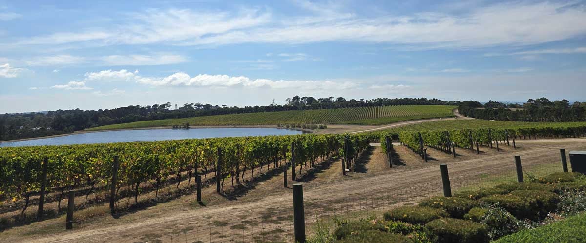 melbourne tips bellarine wijngaard