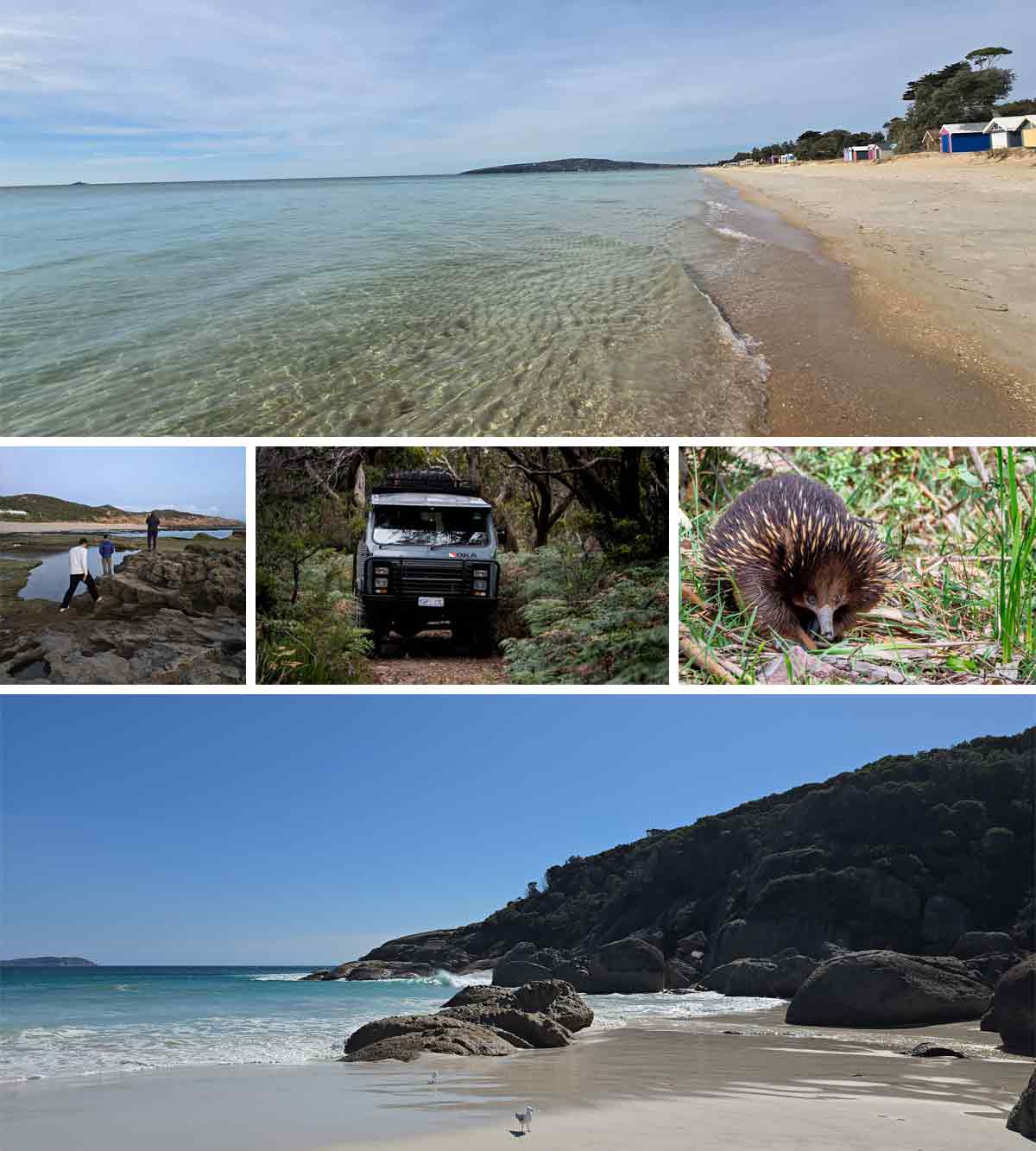 melbourne tips speciaal