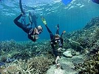 duiken australie