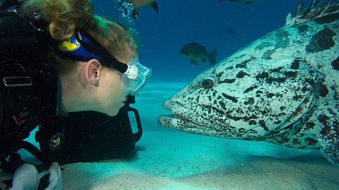 australie tours