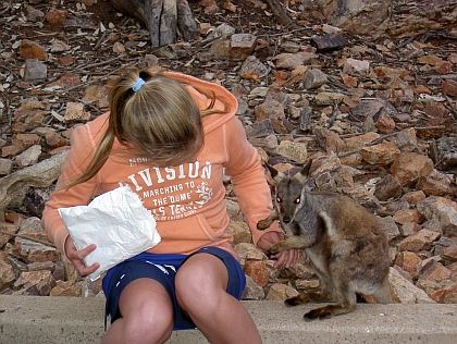 australie hotels