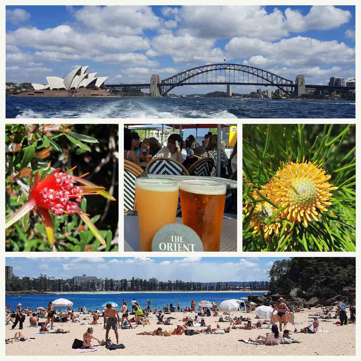 australie 2022 reiservaring