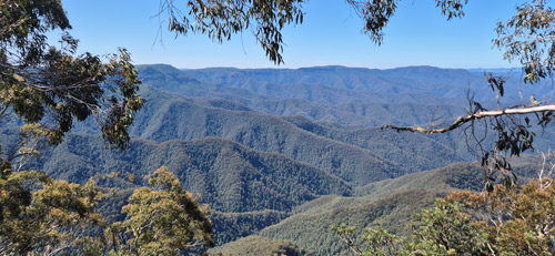 Australie reis klant foto