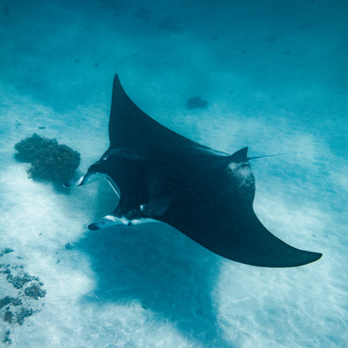 australie west reis reisverslag 2026