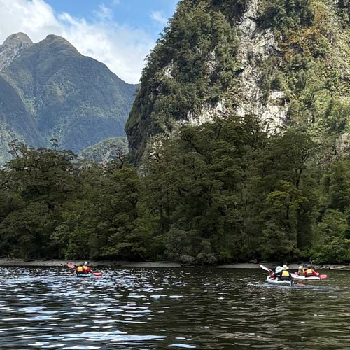 nieuw-zeeland australie reiservaring 2026