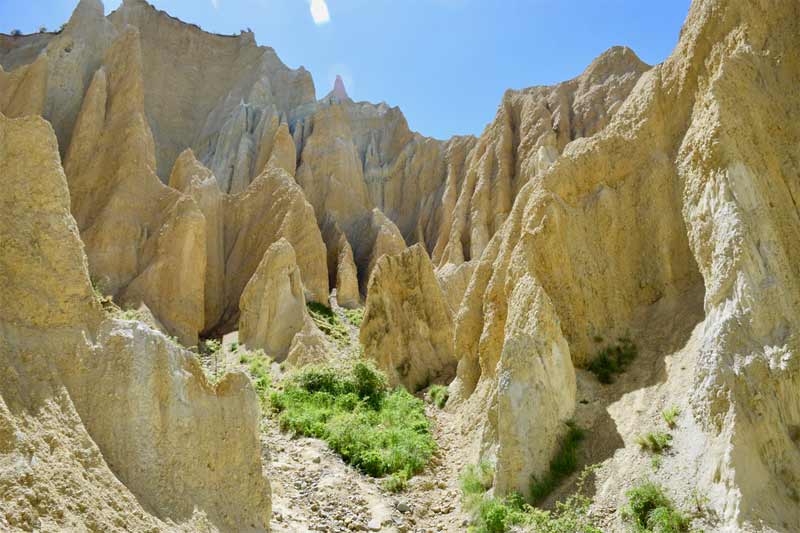 nieuw zeeland reis review 2023