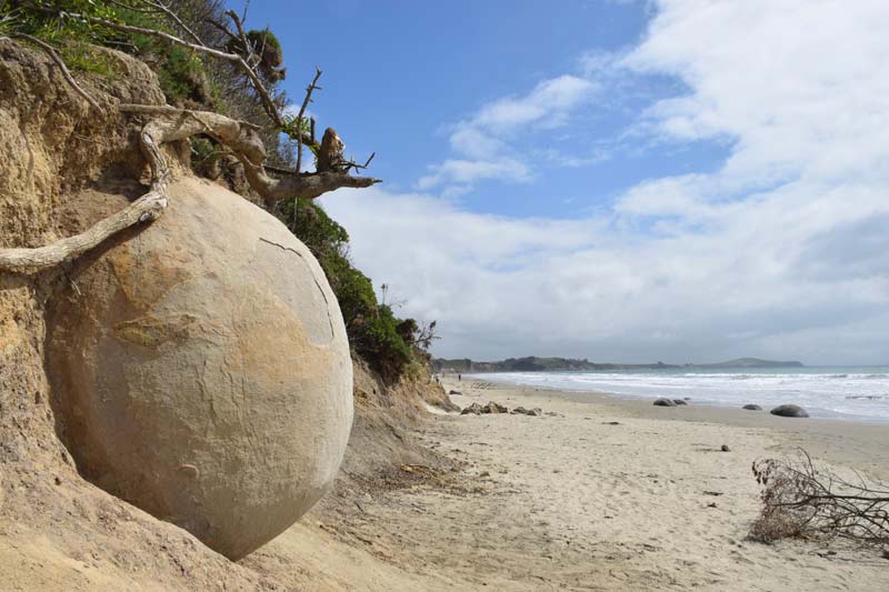 nieuw zeeland reis review 2023