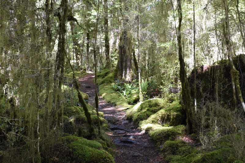 nieuw zeeland reis review 2023