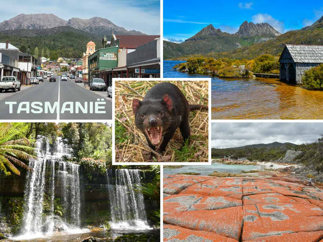 tasmanie klant ervaring 2026