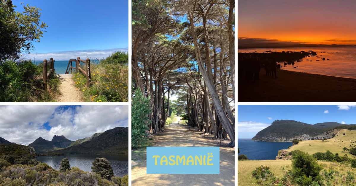 tasmanie 2023 reiservaring