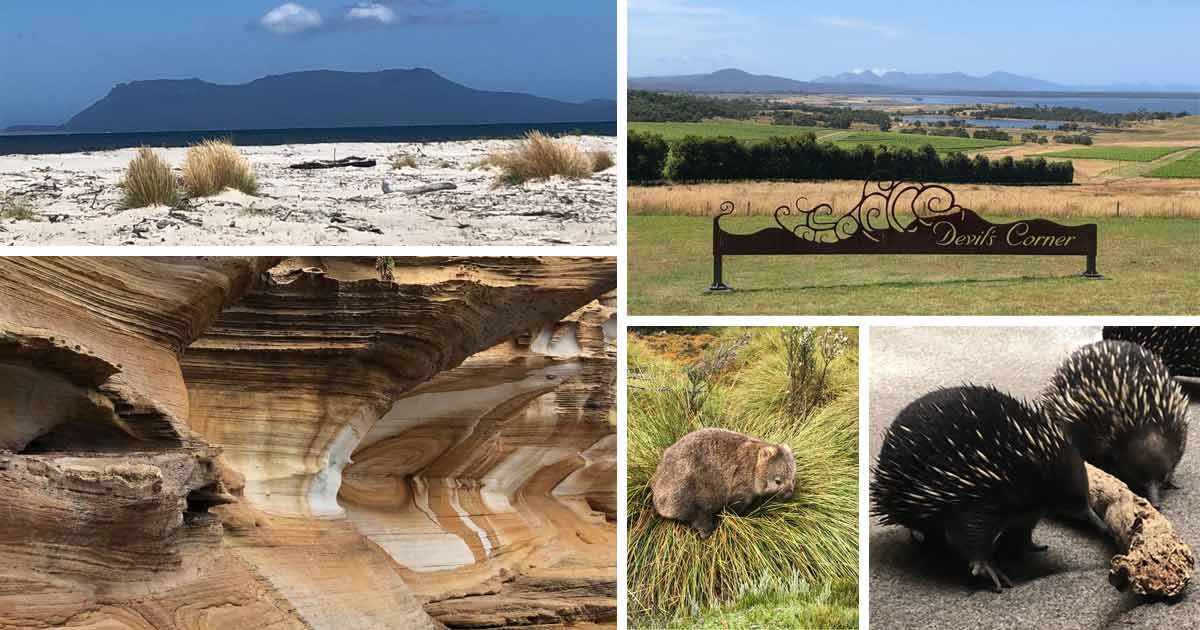 tasmanie 2023 reis ervaring