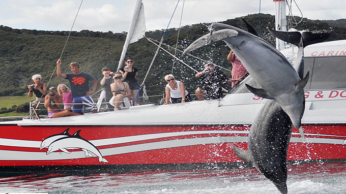 nieuw-zeeland tours