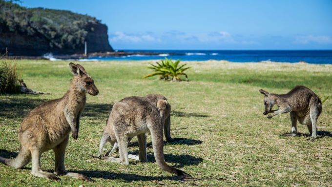 australie self-drive
