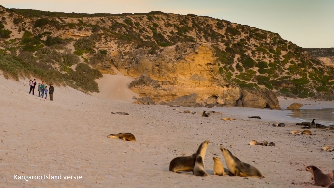 australie selfdrive