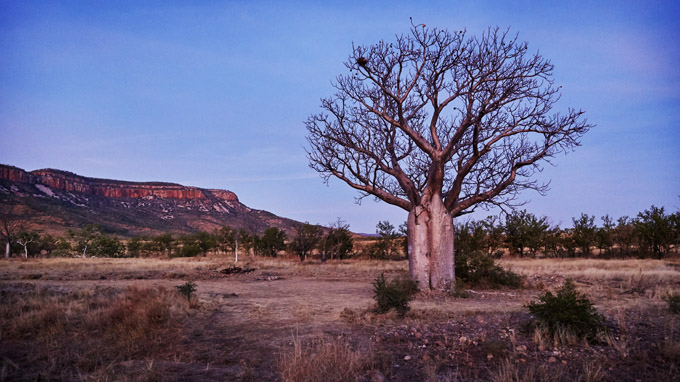 australie self-drive