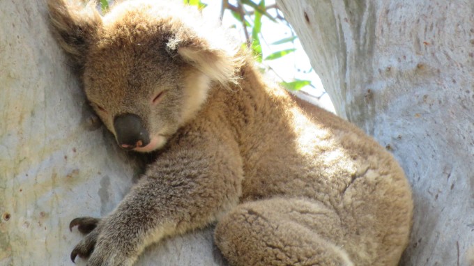 australie tours