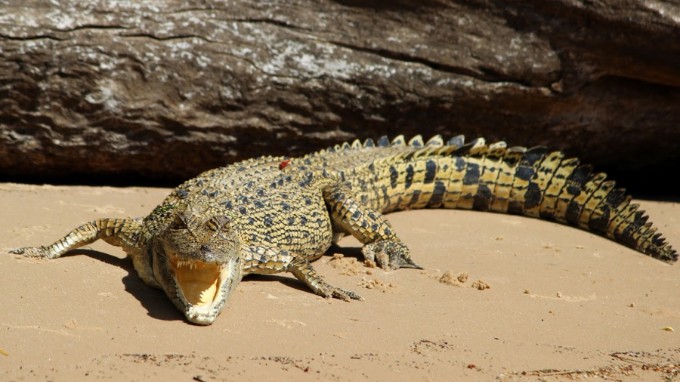 australie tours