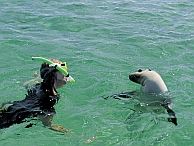 groepsreis australie adelaide