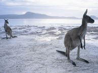 groepsreis australie adelaide