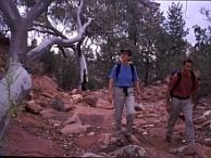 groepsreis australie adelaide