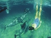 groepsreis australie adelaide