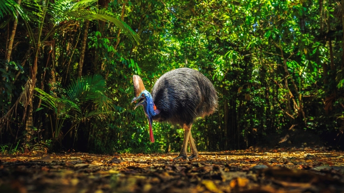 australie tours