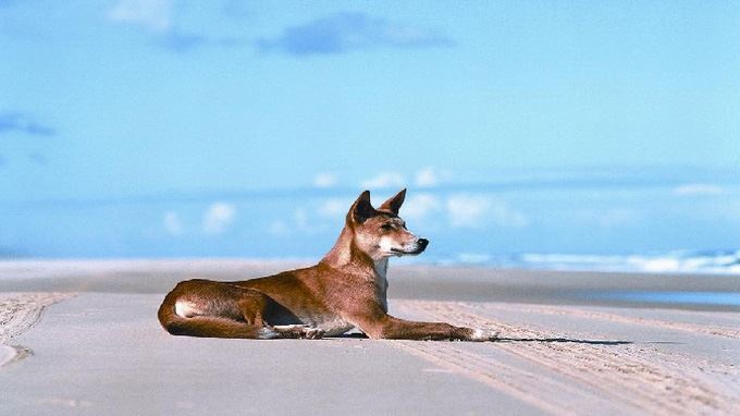 australie tours