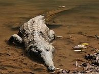 groepsreis_Australie