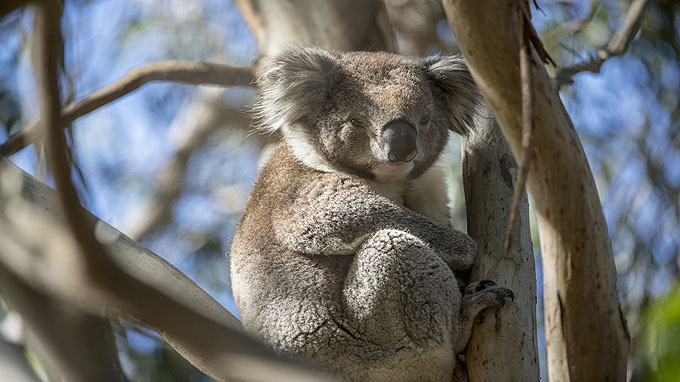 australie tours
