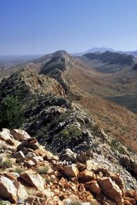 australie groepsreis larapinta
