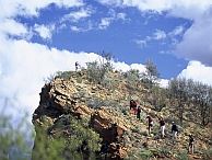 australie groepsreis larapinta