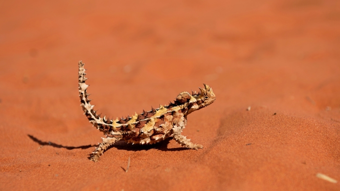 australie tours