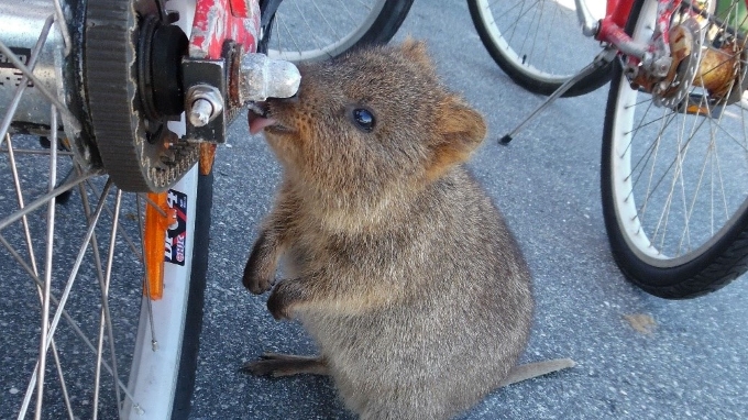 australie tours