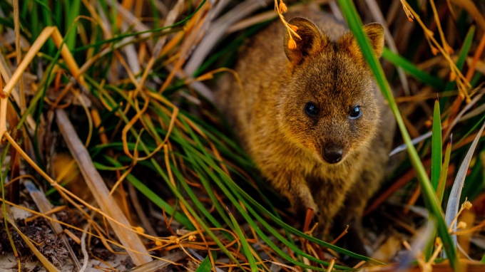 australie tours