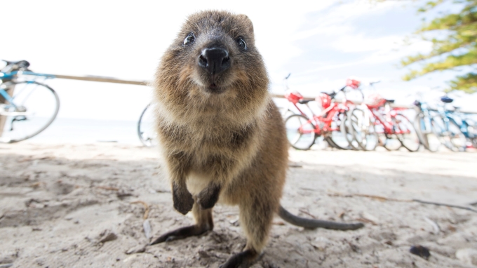 australie tours