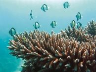 groepsreis australie