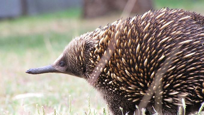 australie tours
