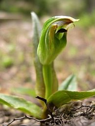 nieuwzeeland wandel tours
