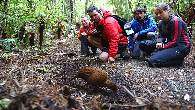nieuw-zeeland tours