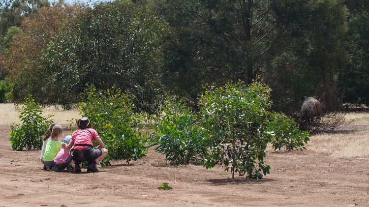 australie familie reis kinderen