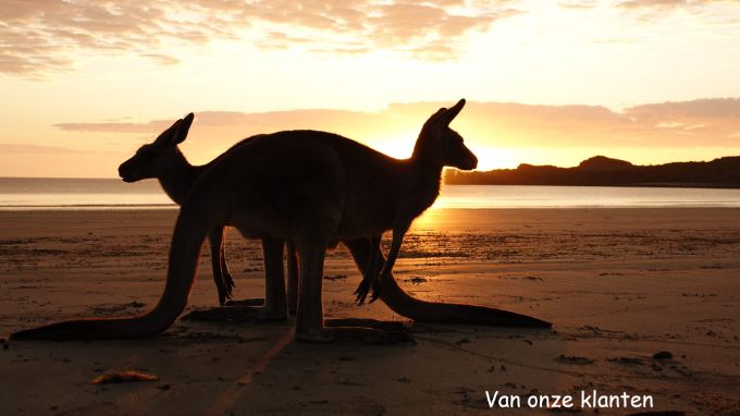 australie familie reis kinderen