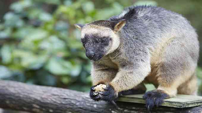 australie rondreis met eigen vervoer