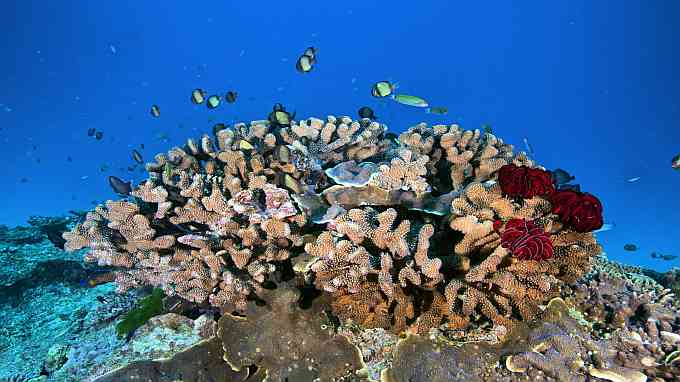 australie rondreis met eigen vervoer