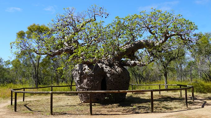 westkust en Kimberley 4wd rondreis