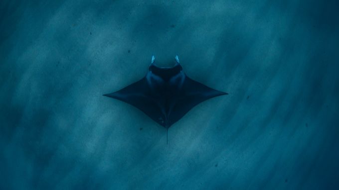 westkust en Kimberley 4wd rondreis